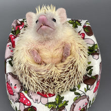 Load image into Gallery viewer, Cream Hedgehogs with Mushroom Hats mini bean bag photo prop