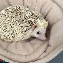 Load image into Gallery viewer, Hedgehogs with Mushroom Hats cuddle cup. Pet sofa. Hedgehog and small guinea pig bed.