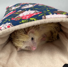 Load image into Gallery viewer, Hedgehogs with Mushroom Hats hedgehogs padded bonding bag, carry bag for hedgehog.