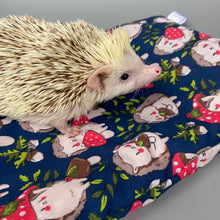 Load image into Gallery viewer, LARGE Hedgehogs with Mushroom Hats full cage set. Large cosy house, snuggle sack, tunnel set for hedgehog or guinea pigs.