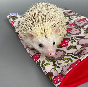 Cream Hedgehogs with Mushroom Hats snuggle sack or snuggle pouch. Fleece lined sleeping bag for hedgehogs, guinea pigs and small animals