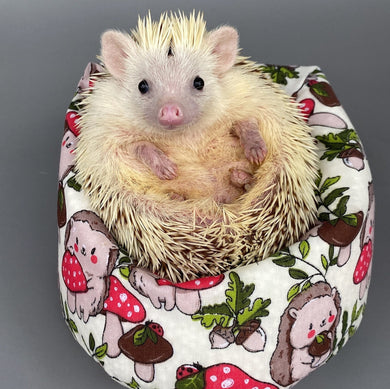 Cream Hedgehogs with Mushroom Hats mini bean bag photo prop