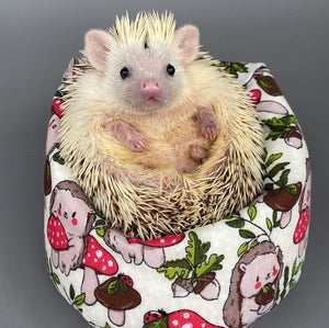 Cream Hedgehogs with Mushroom Hats mini bean bag photo prop