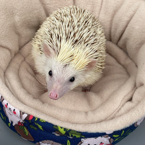 Hedgehogs with Mushroom Hats cuddle cup. Pet sofa. Hedgehog and small guinea pig bed.