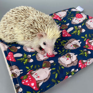 Hedgehogs with Mushroom Hats mini set. Tunnel, snuggle sack and toys. Fleece bedding.