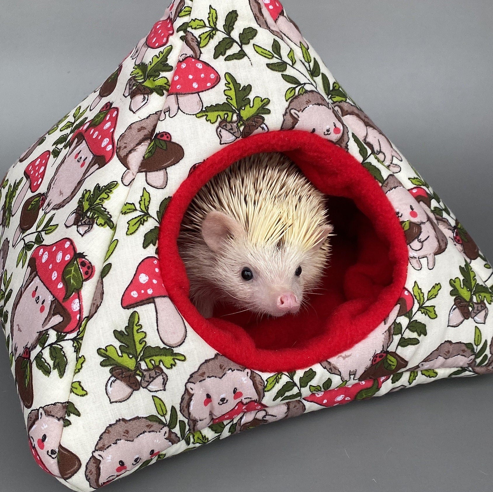 Cream Hedgehogs with Mushroom Hats full cage set. Tent house, snuggle โ The Hoghouse