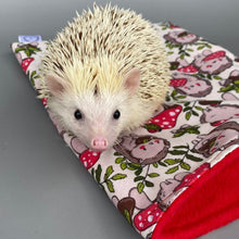 Load image into Gallery viewer, LARGE Cream Hedgehogs with Mushroom Hats full cage set. Large cosy house, snuggle sack, tunnel set for hedgehog or guinea pigs.