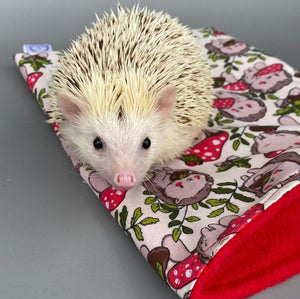 LARGE Cream Hedgehogs with Mushroom Hats full cage set. Large cosy house, snuggle sack, tunnel set for hedgehog or guinea pigs.