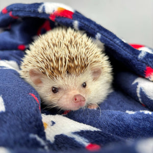 Christmas cuddle fleece handling blankets for small pets like hedgehogs, guinea pigs, rats, etc.