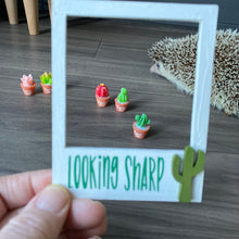 Load image into Gallery viewer, Mini cactus photo props. Garden photo props. Set of 5 plants.