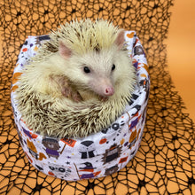 Load image into Gallery viewer, Halloween animals mini bean bag photo prop