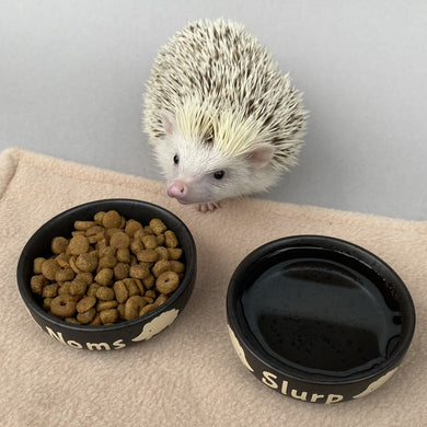 Ceramic hedgehog food and water bowls. Noms and slurp bowls.