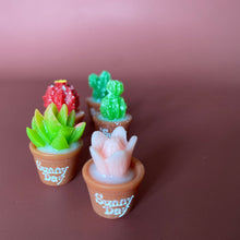 Load image into Gallery viewer, Mini cactus photo props. Garden photo props. Set of 5 plants.