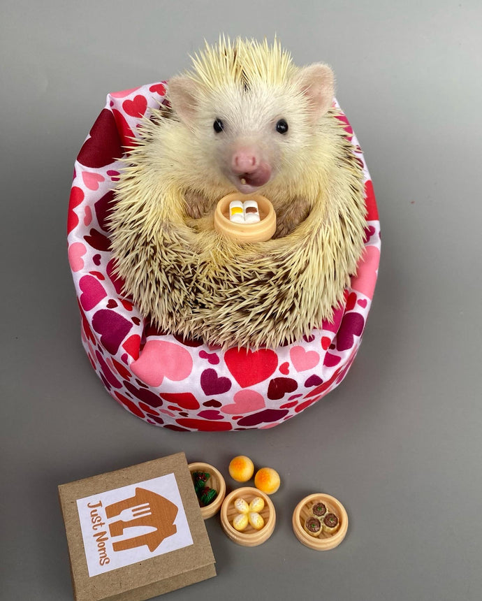 Love hearts mini bean bag photo prop