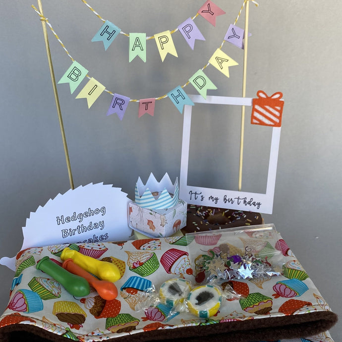 HUFFY BIRTHDAY: Hedgehog Birthday Box. Birthday gifts and props.
