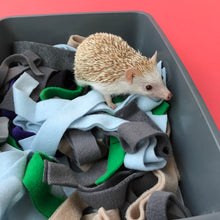 Load image into Gallery viewer, Fleece forage strips for bedding, fleece strips for nesting, dig box or forage tray.