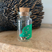 Load image into Gallery viewer, Hedgehog quill jar. Hedgehog memory keepsake. African Pygmy hedgehog quill jar.