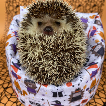 Load image into Gallery viewer, Halloween animals mini bean bag photo prop