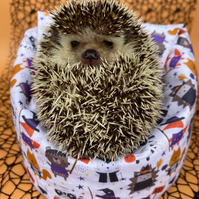 Halloween animals mini bean bag photo prop