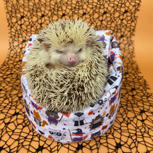 Load image into Gallery viewer, Halloween animals mini bean bag photo prop