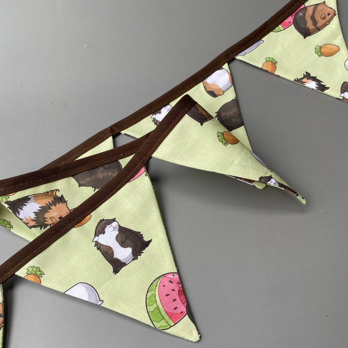 Guinea pigs miniature bunting. Viv decorations. Cage decorations.