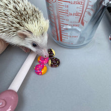 Load image into Gallery viewer, Mini resin donuts photo prop. Resin donut prop for photos.