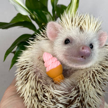 Load image into Gallery viewer, Mini ice creams and ice cream shop board sign for photos. Photo props