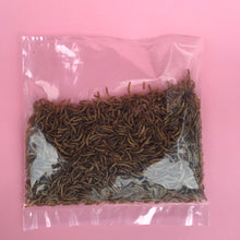 Load image into Gallery viewer, Dry meal worms. African pygmy hedgehog treats. Hedgehog treat.