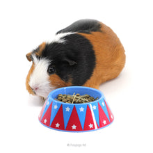 Load image into Gallery viewer, HayPigs!® Junior Food Tamer™ - Mini Food Bowl