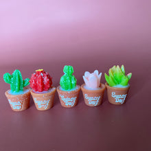 Load image into Gallery viewer, Mini cactus photo props. Garden photo props. Set of 5 plants.