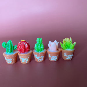 Mini cactus photo props. Garden photo props. Set of 5 plants.