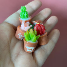 Load image into Gallery viewer, Mini cactus photo props. Garden photo props. Set of 5 plants.