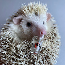 Load image into Gallery viewer, Fruit drinks. Fruit cup photo props. Mini take away drink for photos.