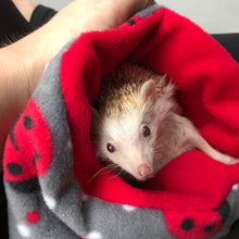 Load image into Gallery viewer, Ladybird snuggle sack. Small animal sleeping bag. Fleece lined. Double fleece sleeping bag