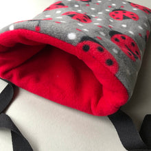 Load image into Gallery viewer, Ladybird padded bonding bag, carry bag for hedgehog. Fleece lined pet tote.
