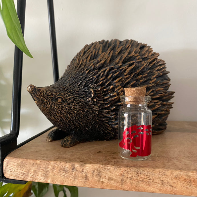 Hedgehog quill jar. Hedgehog memory keepsake. African Pygmy hedgehog quill jar.