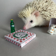 Load image into Gallery viewer, Cold drink bottles. Soda bottle photo props.