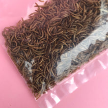 Load image into Gallery viewer, Dry meal worms. African pygmy hedgehog treats. Hedgehog treat.