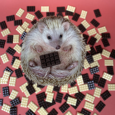 Mini chocolate slabs for photos. Chocolate resin photo props