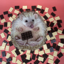 Load image into Gallery viewer, Mini chocolate slabs for photos. Chocolate resin photo props