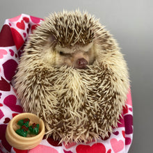 Load image into Gallery viewer, Dim sum photo prop. Take away prop for photos.