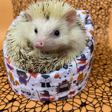 Load image into Gallery viewer, Halloween animals mini bean bag photo prop
