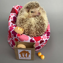 Load image into Gallery viewer, Dim sum photo prop. Take away prop for photos.