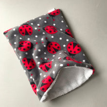 Load image into Gallery viewer, Ladybird bath sack set. Fleece post bath drying pouch for small animals.