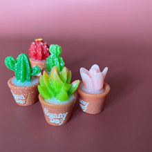 Load image into Gallery viewer, Mini cactus photo props. Garden photo props. Set of 5 plants.