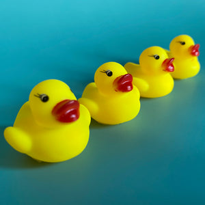 Mini rubber duck. Bath time buddy. Bath time photo prop.