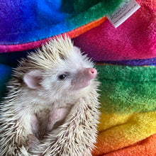 Load image into Gallery viewer, Rainbow cuddle fleece handling blankets for hedgehogs and small pets.