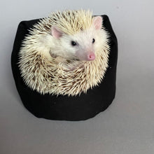Load image into Gallery viewer, Mini bean bag photo prop. Hedgehog bean bag.