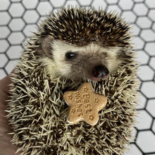 Load image into Gallery viewer, Milk and cookies photo prop. Round resin props for photos.