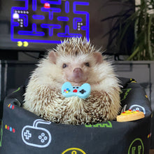 Load image into Gallery viewer, Gamer mini bean bag photo prop